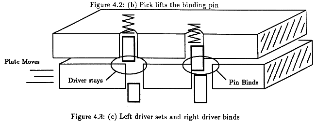 Figure 4.3c - p10c-nt_b.gif